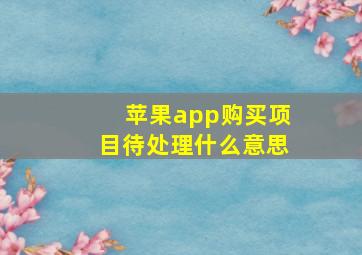 苹果app购买项目待处理什么意思