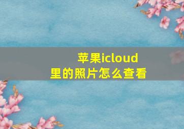 苹果icloud里的照片怎么查看