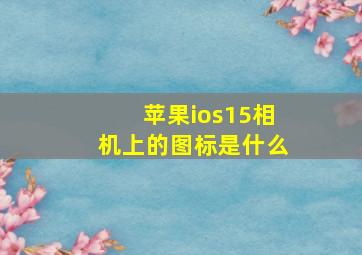 苹果ios15相机上的图标是什么