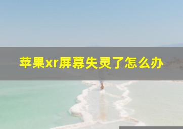 苹果xr屏幕失灵了怎么办