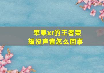 苹果xr的王者荣耀没声音怎么回事