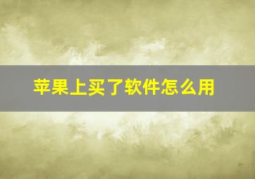 苹果上买了软件怎么用