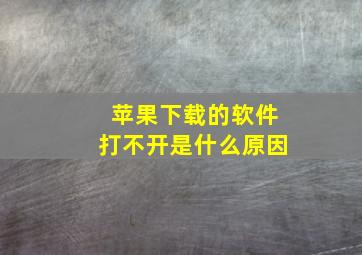 苹果下载的软件打不开是什么原因