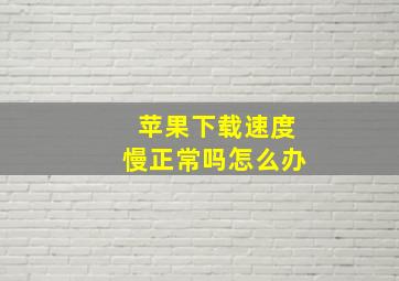 苹果下载速度慢正常吗怎么办