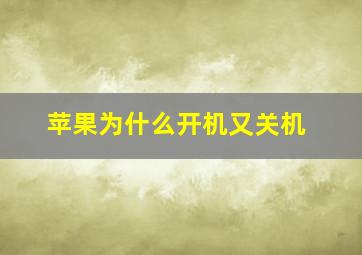 苹果为什么开机又关机