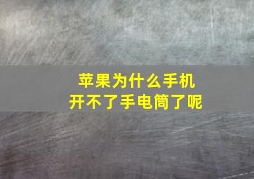 苹果为什么手机开不了手电筒了呢