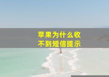 苹果为什么收不到短信提示