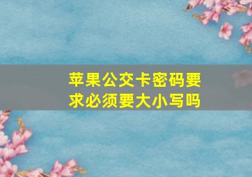 苹果公交卡密码要求必须要大小写吗