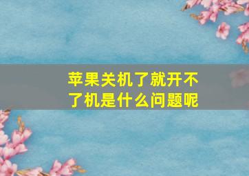 苹果关机了就开不了机是什么问题呢