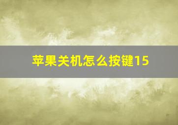 苹果关机怎么按键15