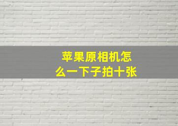 苹果原相机怎么一下子拍十张