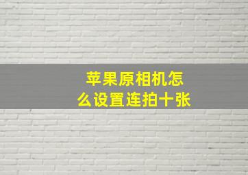 苹果原相机怎么设置连拍十张