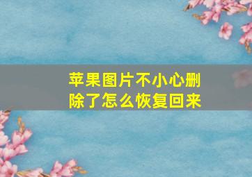 苹果图片不小心删除了怎么恢复回来