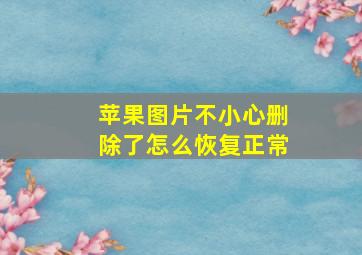 苹果图片不小心删除了怎么恢复正常