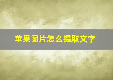 苹果图片怎么提取文字