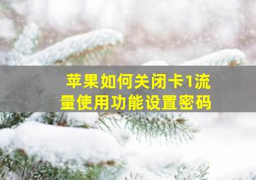 苹果如何关闭卡1流量使用功能设置密码