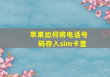 苹果如何将电话号码存入sim卡里