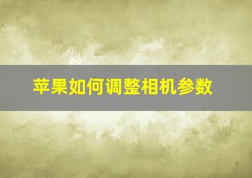 苹果如何调整相机参数