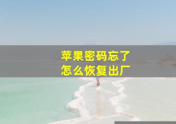 苹果密码忘了怎么恢复出厂