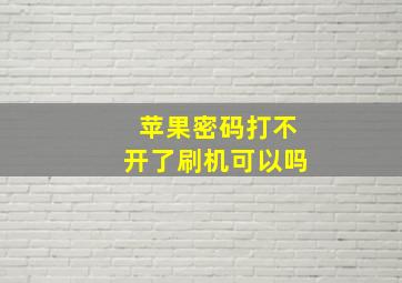 苹果密码打不开了刷机可以吗