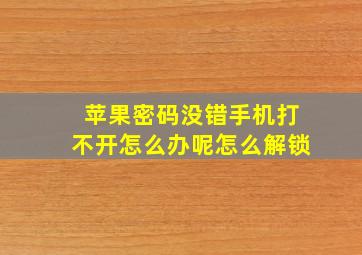 苹果密码没错手机打不开怎么办呢怎么解锁