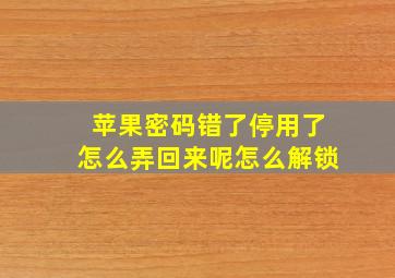 苹果密码错了停用了怎么弄回来呢怎么解锁