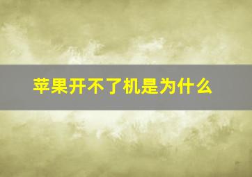 苹果开不了机是为什么