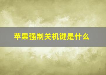 苹果强制关机键是什么