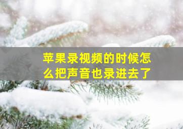 苹果录视频的时候怎么把声音也录进去了