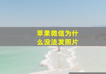 苹果微信为什么没法发照片