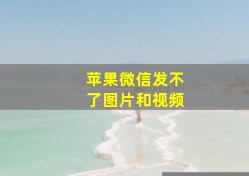 苹果微信发不了图片和视频