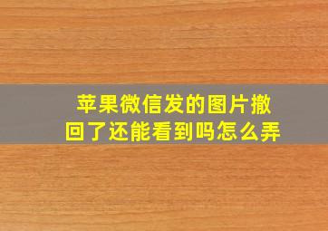 苹果微信发的图片撤回了还能看到吗怎么弄