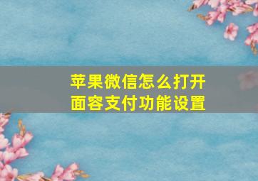 苹果微信怎么打开面容支付功能设置