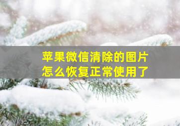 苹果微信清除的图片怎么恢复正常使用了