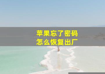 苹果忘了密码怎么恢复出厂