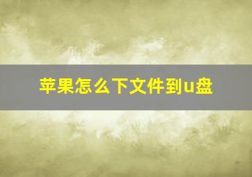 苹果怎么下文件到u盘