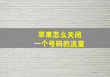 苹果怎么关闭一个号码的流量