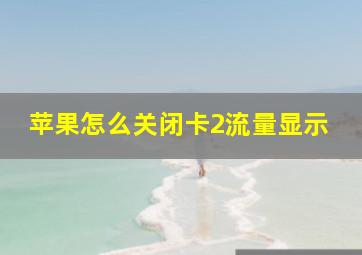 苹果怎么关闭卡2流量显示