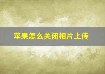 苹果怎么关闭相片上传