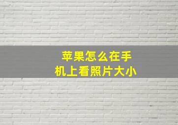 苹果怎么在手机上看照片大小