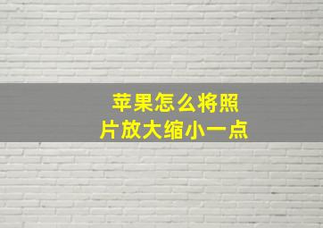 苹果怎么将照片放大缩小一点