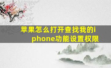 苹果怎么打开查找我的iphone功能设置权限