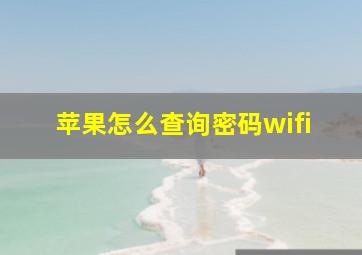 苹果怎么查询密码wifi