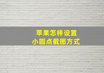 苹果怎样设置小圆点截图方式