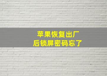 苹果恢复出厂后锁屏密码忘了