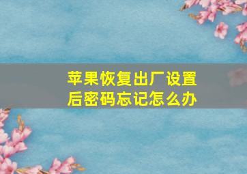 苹果恢复出厂设置后密码忘记怎么办