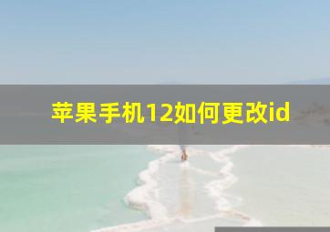 苹果手机12如何更改id