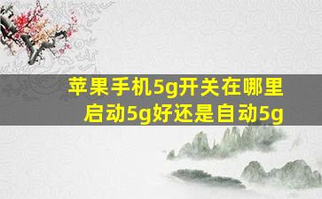 苹果手机5g开关在哪里启动5g好还是自动5g