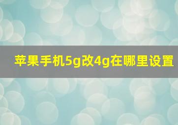 苹果手机5g改4g在哪里设置