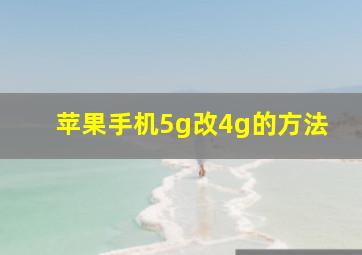 苹果手机5g改4g的方法